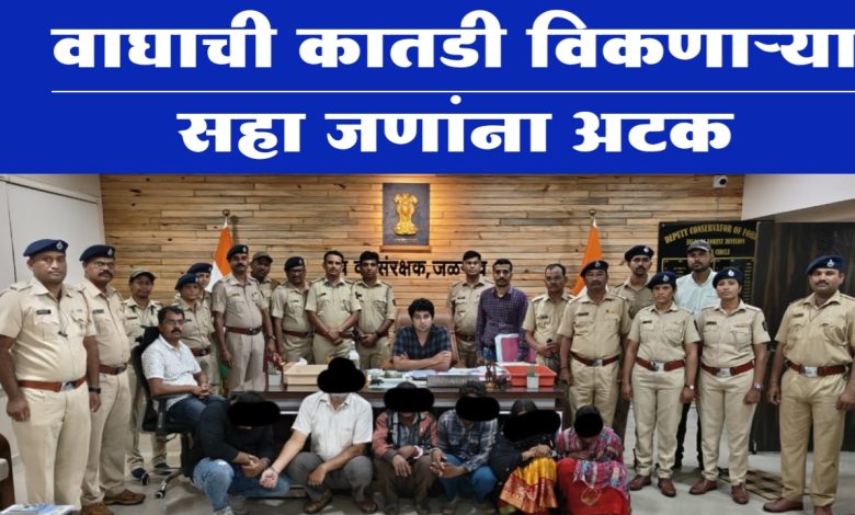 वाघाची कातडी विकणाऱ्या सहा जणांना अटकपुणे कस्टम व जळगाव कस्टम अधिकाऱ्यांची संयुक्त कारवाईजळगांव वाघाची कातडी विकणाऱ्या सहा जणांना अटकपुणे कस्टम व जळगाव कस्टम अधिकाऱ्यांची संयुक्त कारवाईजळगांव