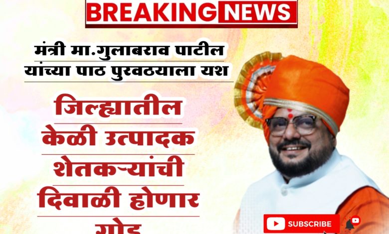 जिल्ह्यातील केळी उत्पादक शेतकऱ्यांची दिवाळी होणार गोड… जिल्ह्यातील केळी उत्पादक शेतकऱ्यांची दिवाळी होणार गोड…