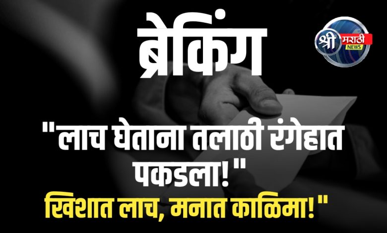 “लाचखोर तलाठ्यावर लाचलुचपत विभागाचा यशस्वी सापळा”