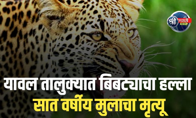 यावल तालुक्यात बिबट्याचा हल्ला – सात वर्षीय आदिवासी बालक ठार, नागरिकांमध्ये संताप यावल तालुक्यात बिबट्याचा हल्ला – सात वर्षीय आदिवासी बालक ठार, नागरिकांमध्ये संताप
