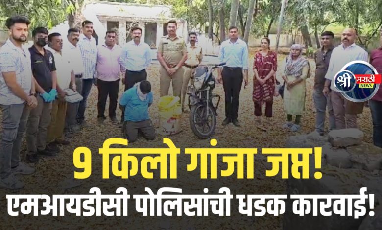 अवैध गांजा विक्री करणारा आरोपी एमआयडीसी पोलिसांच्या जाळ्यात अवैध गांजा विक्री करणारा आरोपी एमआयडीसी पोलिसांच्या जाळ्यात
