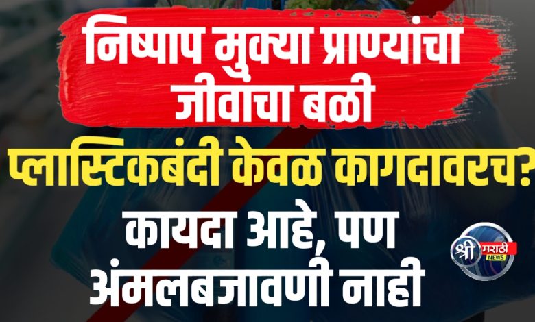 प्लास्टिकच्या विळख्यात निष्पाप जीवांचा बळी – कधी थांबणार हा मृत्यूचा साखळदंड?