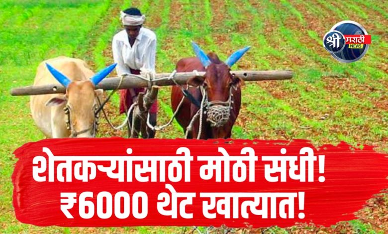 पंतप्रधान किसान सन्मान निधी योजना: शेतकऱ्यांसाठी मोठी संधी, 15 एप्रिलपासून विशेष मोहीम सुरू! पंतप्रधान किसान सन्मान निधी योजना: शेतकऱ्यांसाठी मोठी संधी, 15 एप्रिलपासून विशेष मोहीम सुरू!