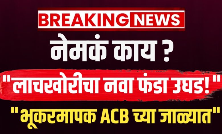 लाचखोर भूकरमापक गजाआड! रोख रक्कम आणि हरभऱ्याच्या लाचेची मागणी करताना रंगेहात सापडला