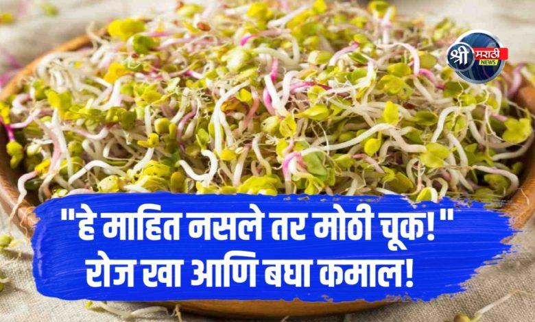 मोड आलेले कडधान्य: आरोग्यासाठी पोषणसंपन्न खाद्यपदार्थ मोड आलेले कडधान्य: आरोग्यासाठी पोषणसंपन्न खाद्यपदार्थ