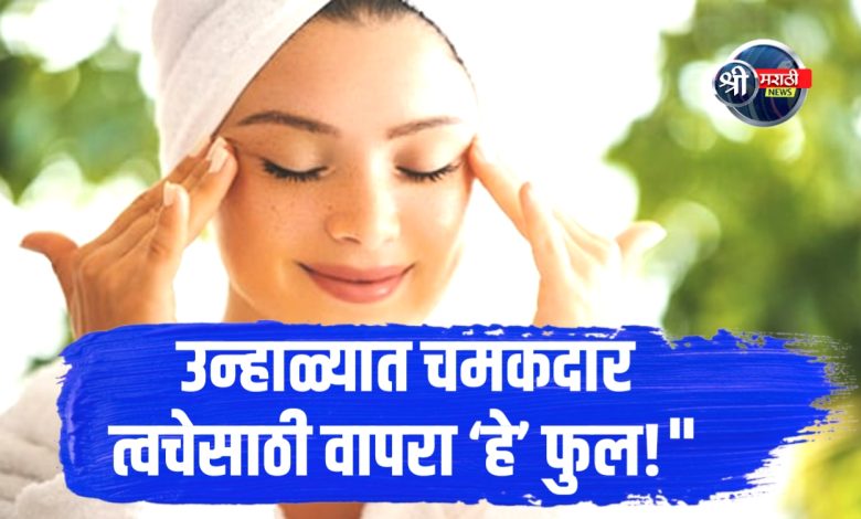उन्हाळ्यात गुलाबाचा वापर: त्वचेला टॅनिंगपासून बचाव आणि नैसर्गिक चमक मिळवण्यासाठी प्रभावी उपाय