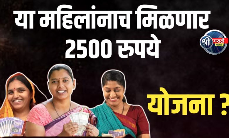 2025 मध्ये सरकार देतंय महिलांना दरमहा ₹2500 – नवीन योजना सुरू, अर्ज कसा करायचा ते जाणून घ्या 2025 मध्ये सरकार देतंय महिलांना दरमहा ₹2500 – नवीन योजना सुरू, अर्ज कसा करायचा ते जाणून घ्या