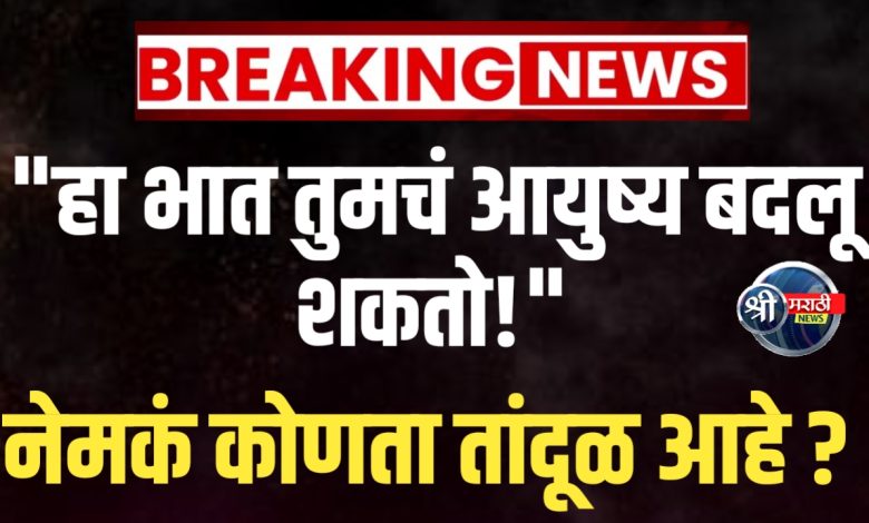 आरोग्य राखण्यासाठी सर्वोत्तम धान्य – लाल तांदूळ खाण्याचे वैज्ञानिक फायदे आरोग्य राखण्यासाठी सर्वोत्तम धान्य – लाल तांदूळ खाण्याचे वैज्ञानिक फायदे