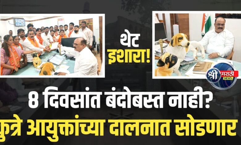 जळगावच्या रस्त्यांवर मोकाट कुत्र्यांचा धुमाकूळ; शिवसेना उबाठा आक्रमक! जळगावच्या रस्त्यांवर मोकाट कुत्र्यांचा धुमाकूळ; शिवसेना उबाठा आक्रमक!
