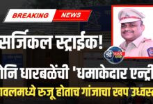नवीन पोलीस निरीक्षकांचा ‘धडक स्टाईल’! होंडा सिटी गाडीत गांजा पकडला
