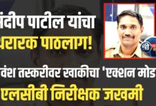 गोवंश तस्करांचा पोलिसांवर हल्ला : जळगाव एलसीबीच्या पथकाचा शौर्यपूर्ण पाठलाग, एकाला केली अटक