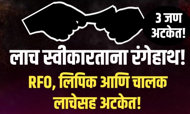 वन विभागातील लाचखोरीचा पर्दाफाश : सामाजिक वनीकरण विभागातील अधिकारी आणि कर्मचाऱ्यांना ACB ने रंगेहात पकडले!