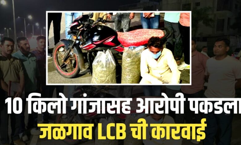 भुसावळ हायवेवर तस्कर पकडला! 2.90 लाखांचा मुद्देमाल जप्त भुसावळ हायवेवर तस्कर पकडला! 2.90 लाखांचा मुद्देमाल जप्त